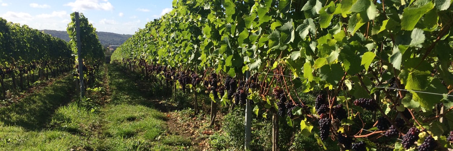 Henry Laithwaite banner