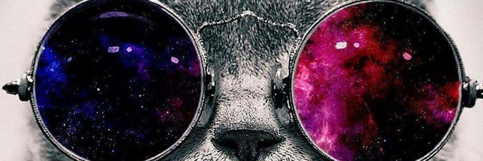 PepponeBarba's profile banner image