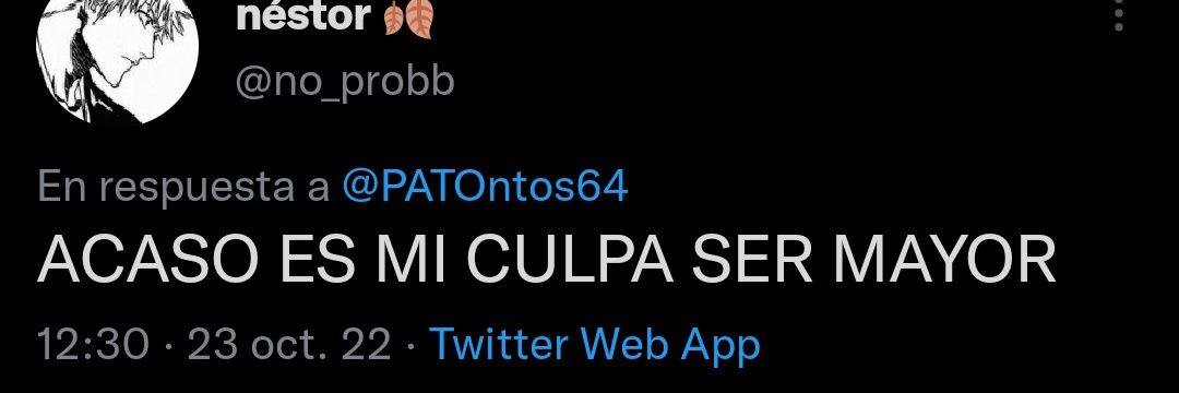 Porron🦆🦆 banner