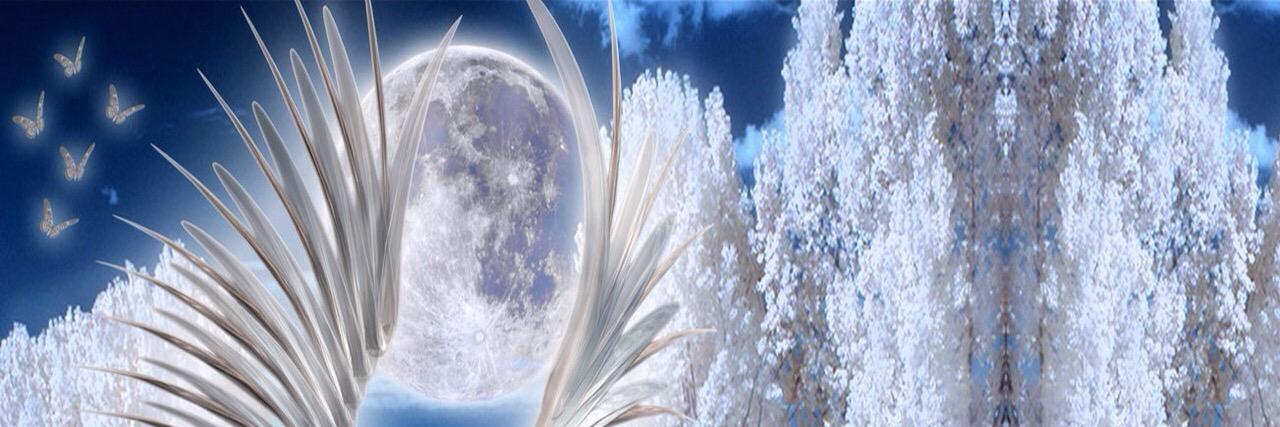 jasmeet340's profile banner image