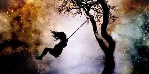 roseparadize's profile banner image