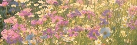 🌸~🪷𝖂𝖎𝖓𝖙𝖊𝖗⁷🪷~🌸 banner