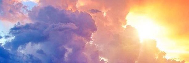 tammyjadels's profile banner image