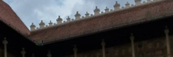 skiennen Profile Banner