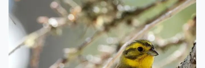 skiennen's profile banner image