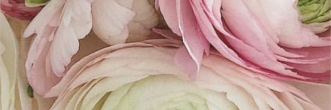 FerFaxardo71's profile banner image