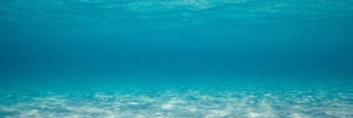 nEReCU88's profile banner image
