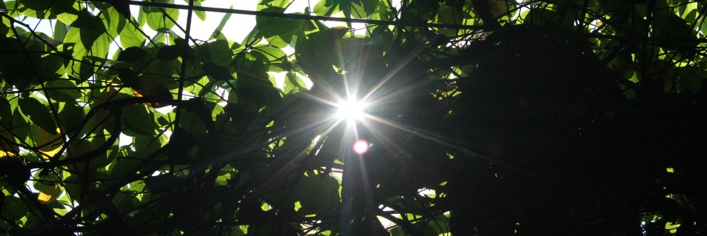 deoamagreg's profile banner image