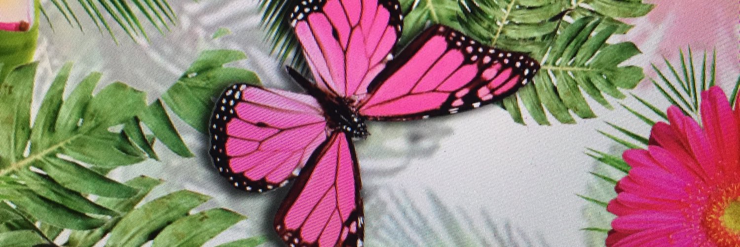 Petrapinkstudio's profile banner image