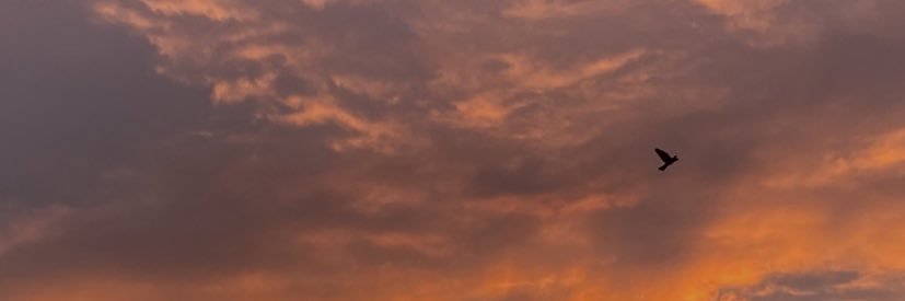 Pablo Gómez banner