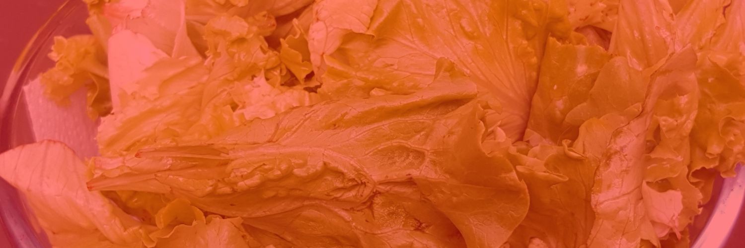 Ozone_Secret's profile banner image