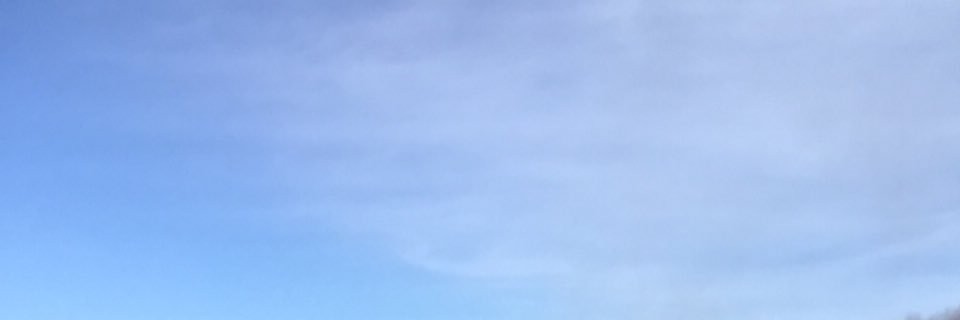 grasfrancis's profile banner image