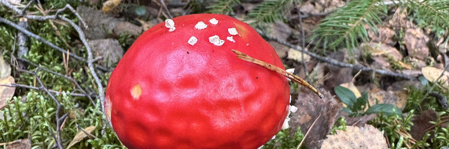 President Of The Moon banner