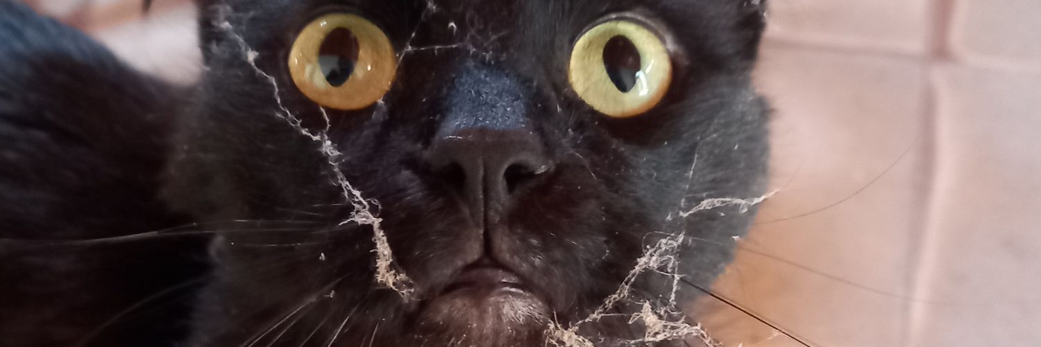 fkngdamn's profile banner image