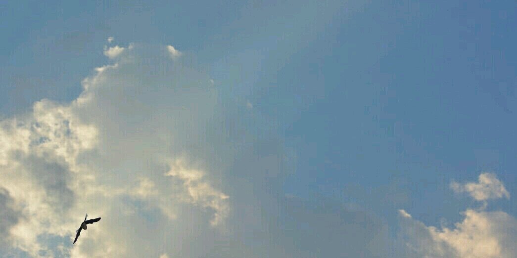 Khaled_elfeki's profile banner image