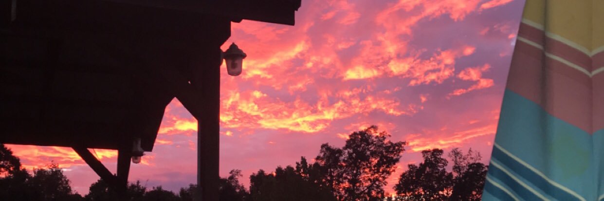 saylerhuff's profile banner image