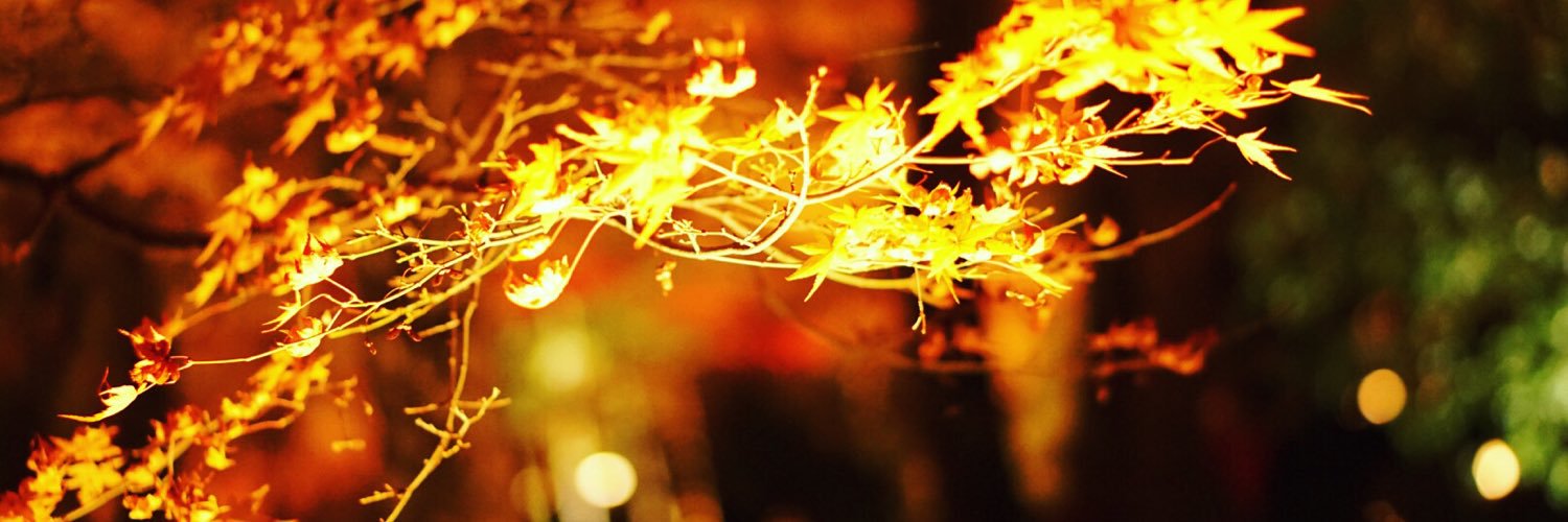 tommmybrain's profile banner image