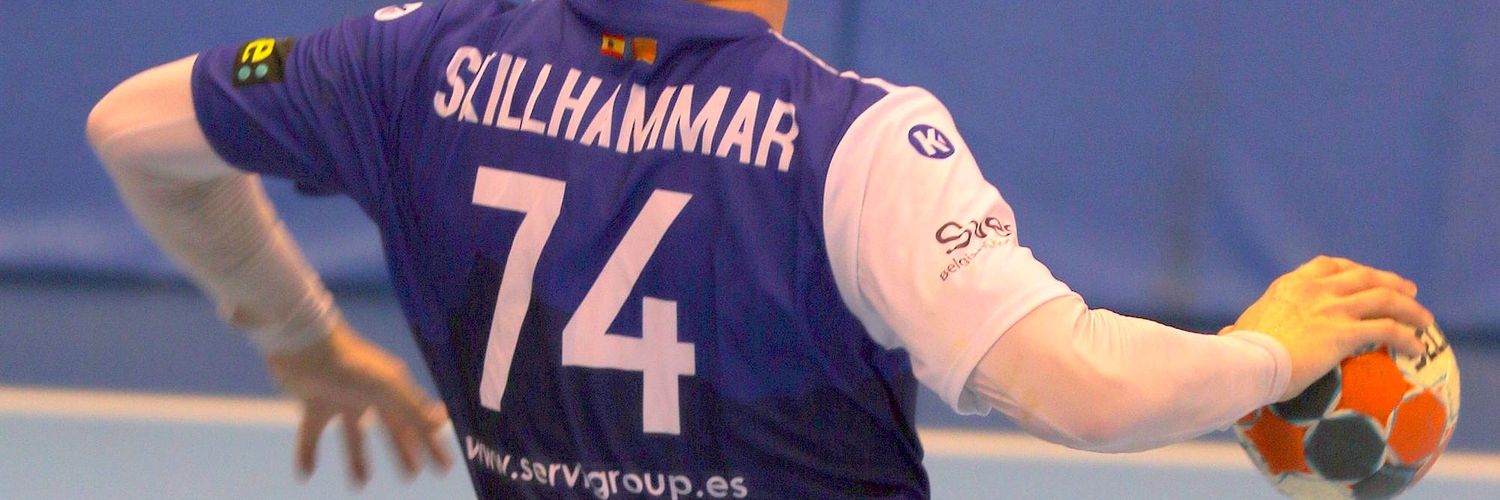 skillhammar's profile banner image