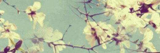 EstiMlun's profile banner image