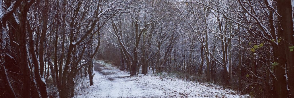 connorjhunter's profile banner image