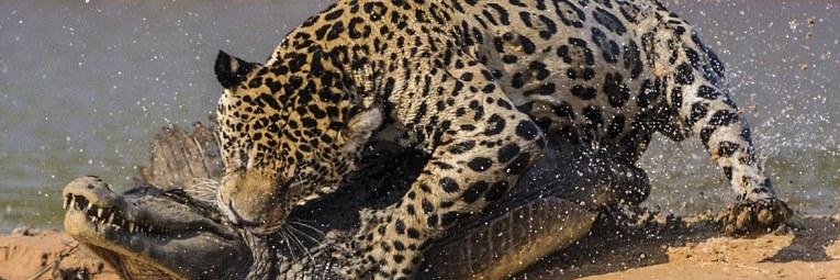 Kizito256's profile banner image