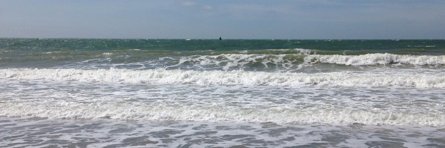 ZeeuwBra's profile banner image