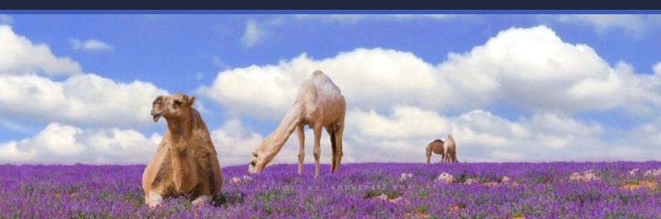KSA_G5S's profile banner image