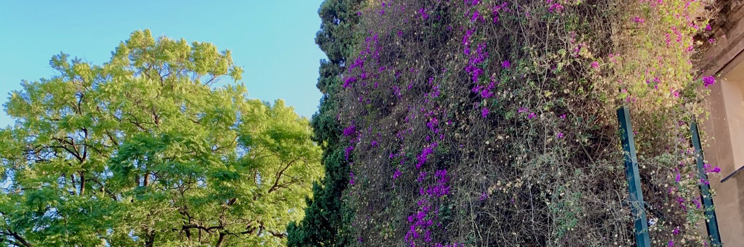 NadiaaEreena's profile banner image