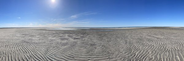 Ron_Roy Profile Banner