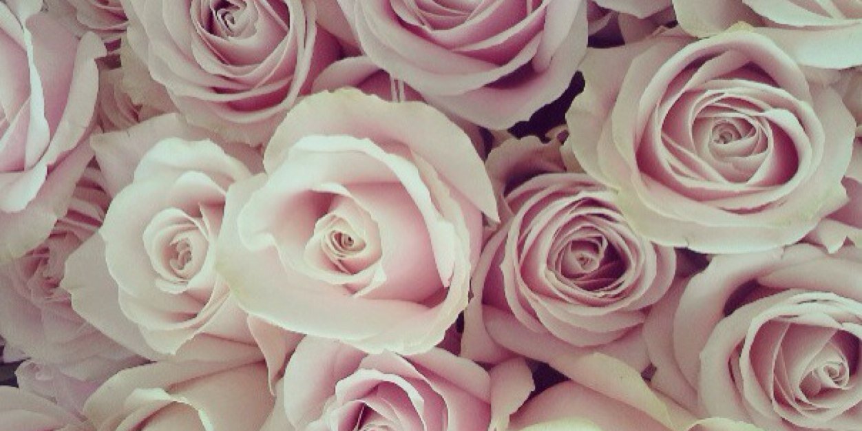 alist_a's profile banner image