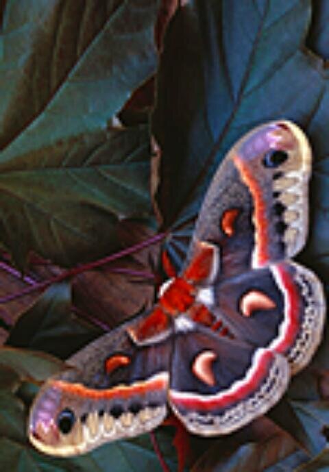 buse_karabyk's profile banner image