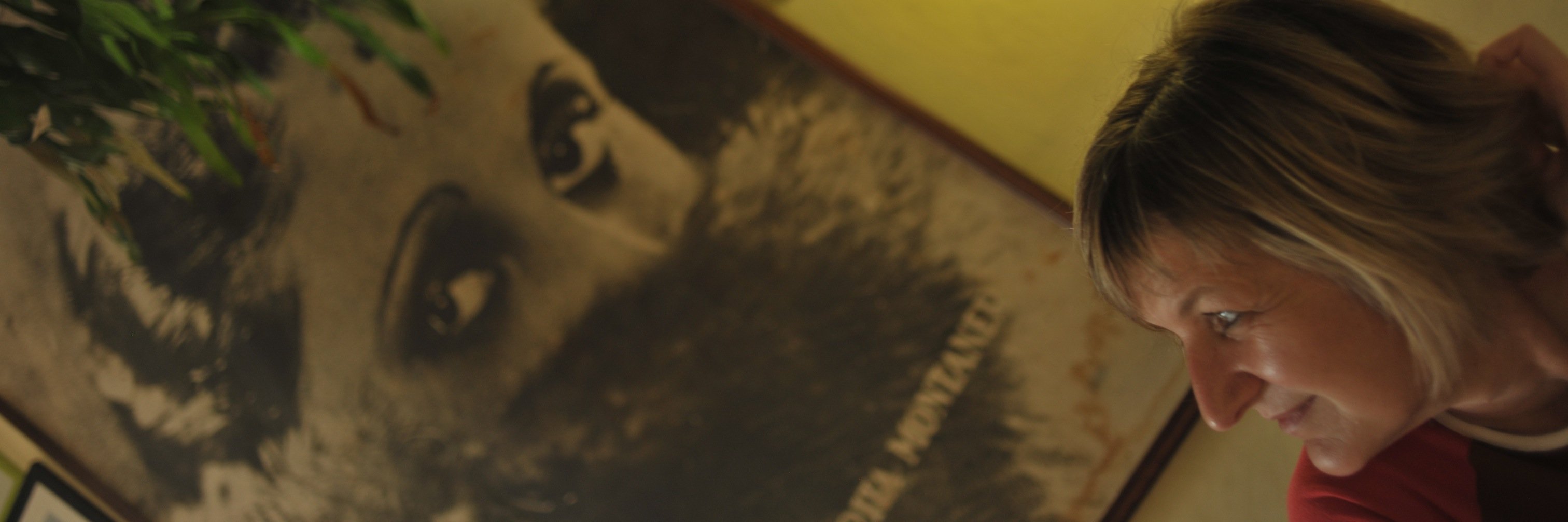 VeraStPrex's profile banner image
