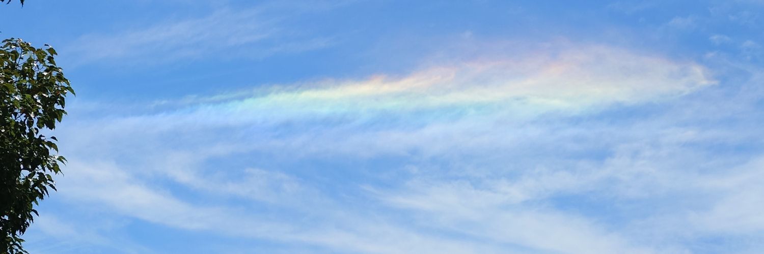 sunflowerx_x's profile banner image