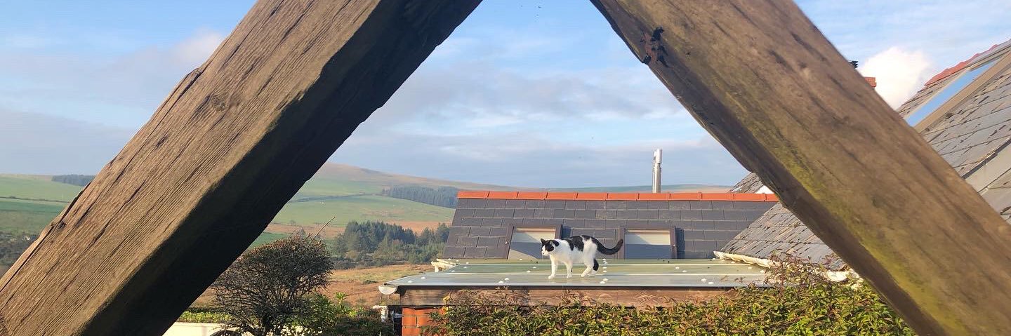 Sarah Maynard banner