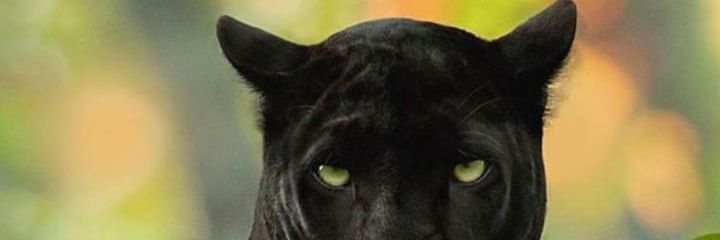 intutive9's profile banner image