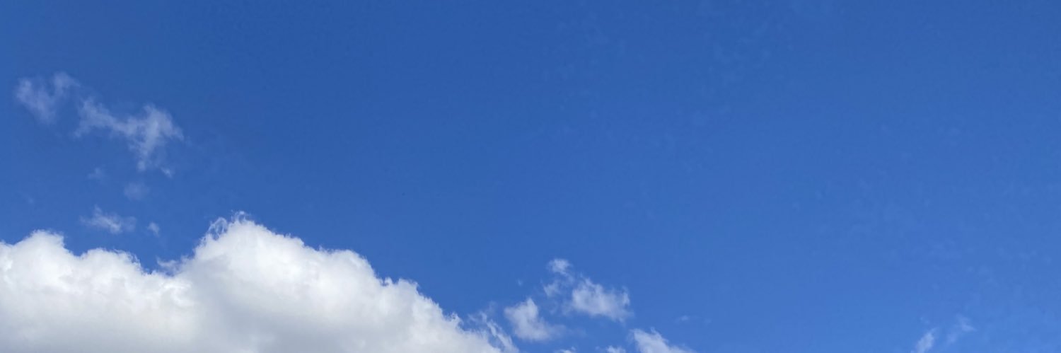 maristefaness's profile banner image