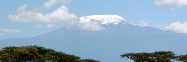 Salym Profile Banner