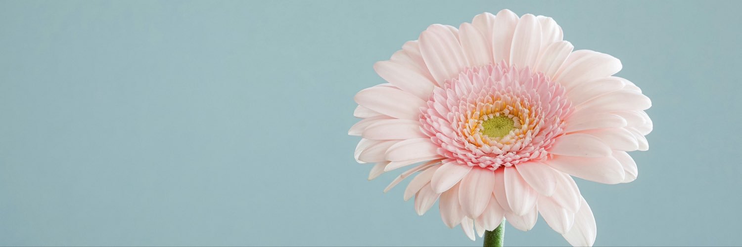 MaryRodriMol's profile banner image