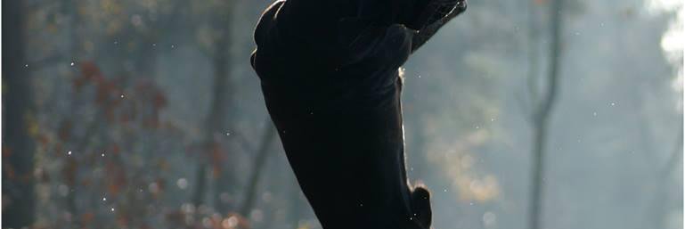 scarno76's profile banner image