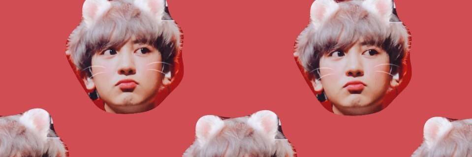 qiiliqi's profile banner image