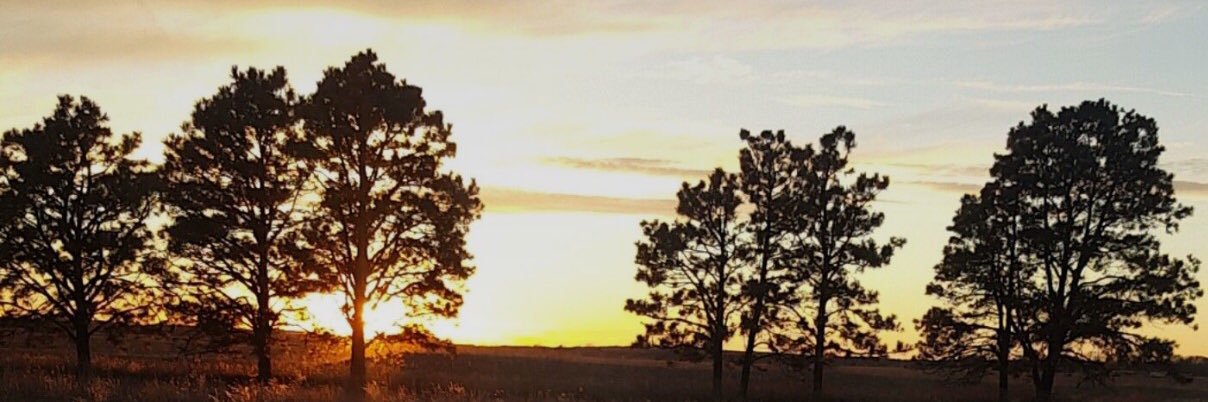 mindy_strom's profile banner image