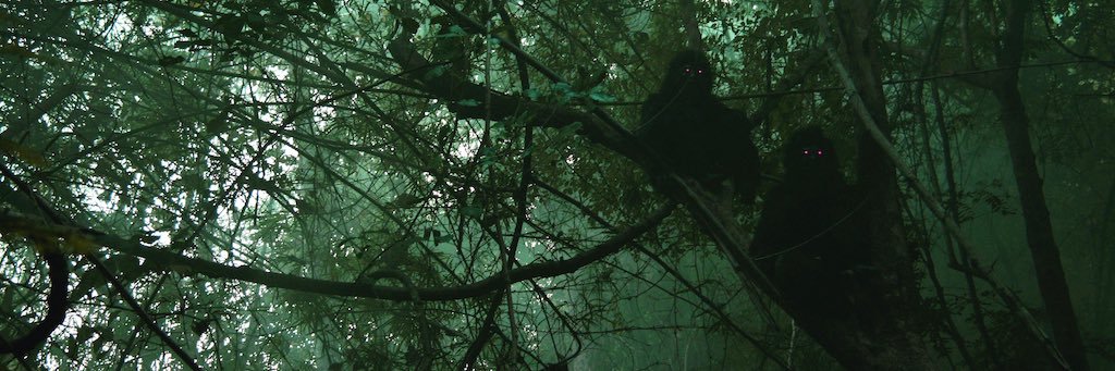 api_film's profile banner image
