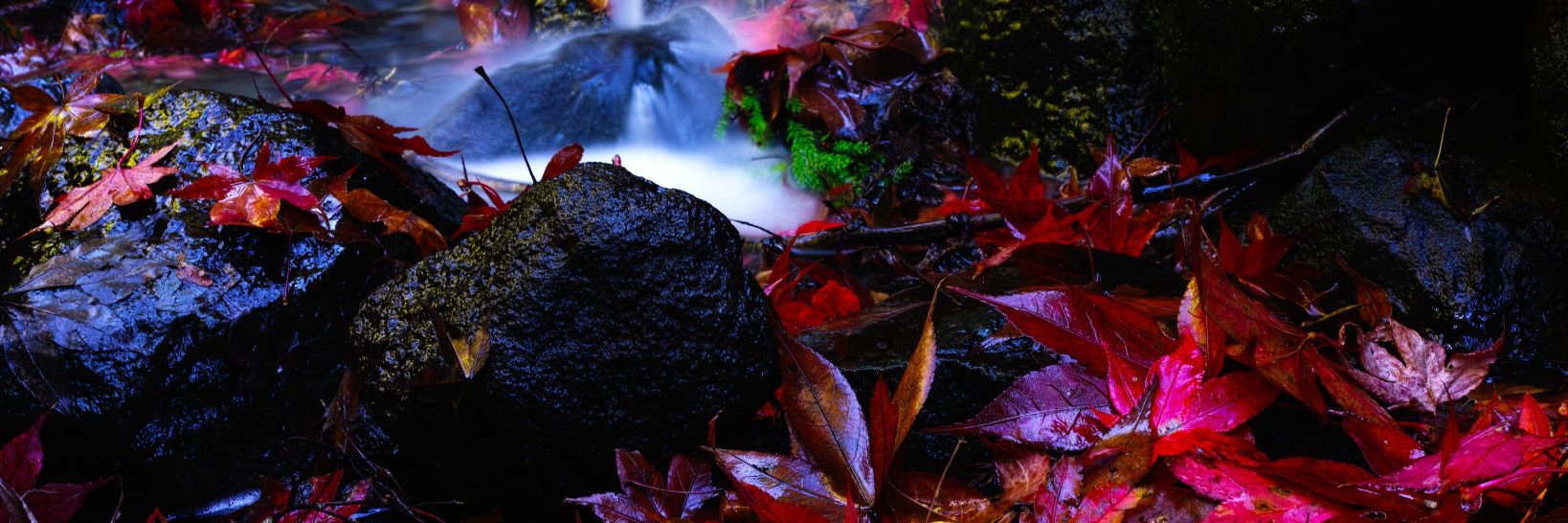 gensoiri's profile banner image