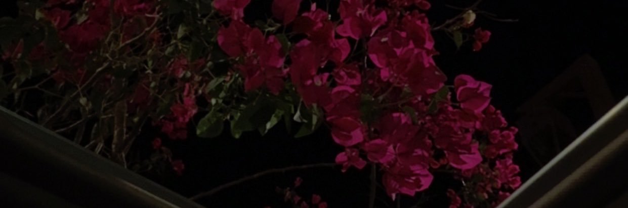 أحمد عسيري banner