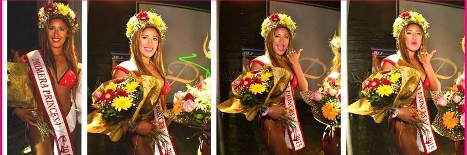 ClaudiaVillaPy's profile banner image