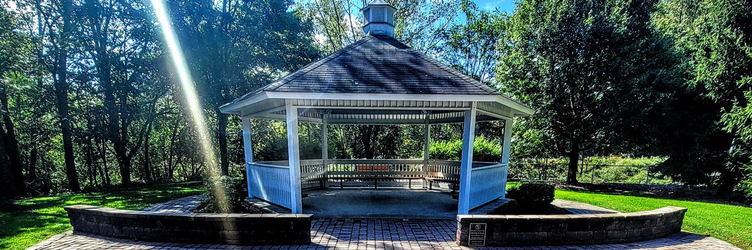 RobLovesBooks banner