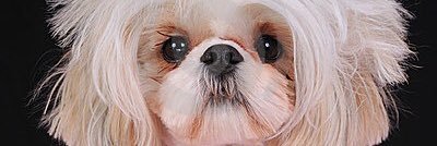 ぶぅ〠×6回 来世こそは草刈正雄 banner