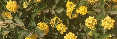 salmasemsma4's profile banner image