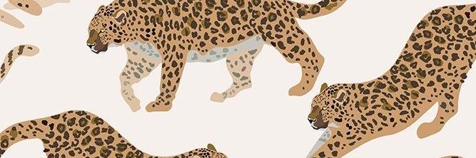 jaide_sousa's profile banner image