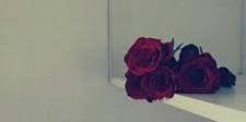 ftoom24242's profile banner image